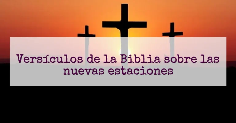 Versículos de la Biblia sobre las nuevas estaciones
