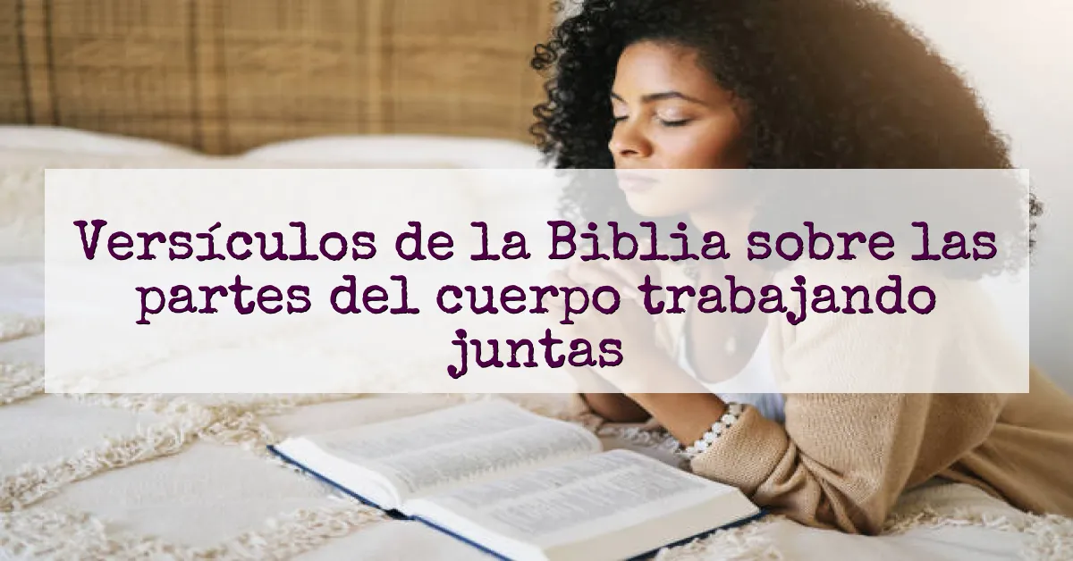 Versículos de la Biblia sobre las partes del cuerpo trabajando juntas