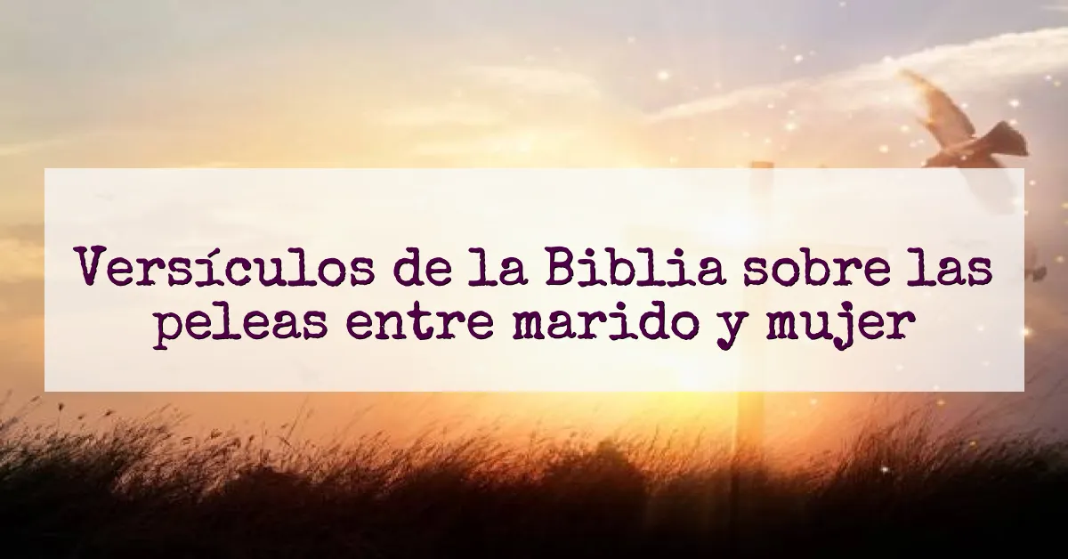 Versículos de la Biblia sobre las peleas entre marido y mujer