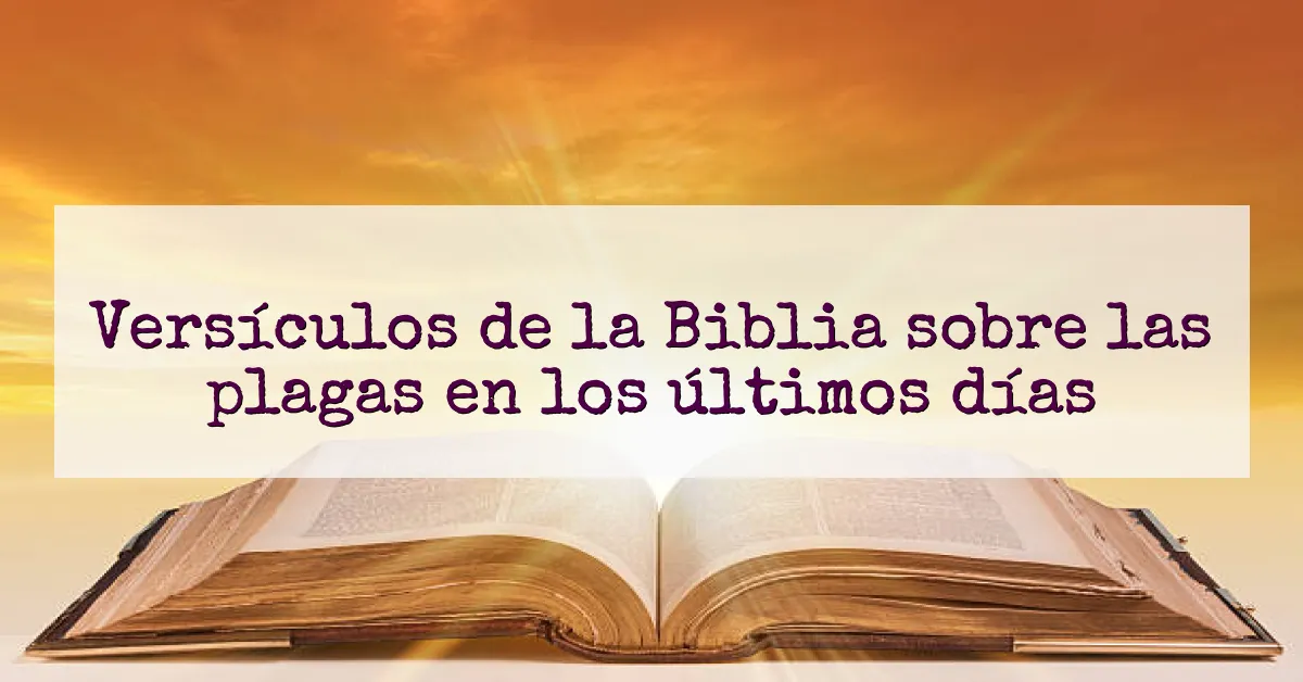 Versículos de la Biblia sobre las plagas en los últimos días