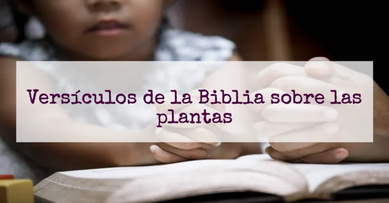 Versículos de la Biblia sobre las plantas