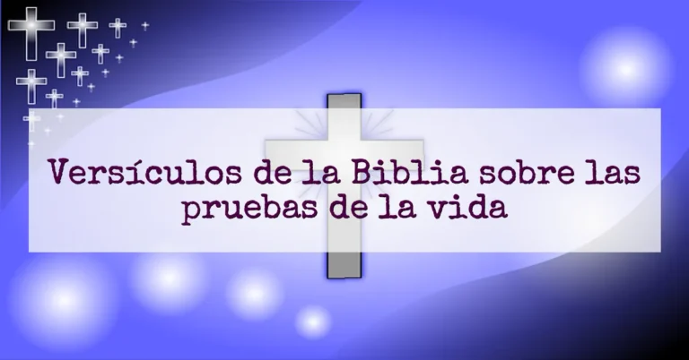 Versículos de la Biblia sobre las pruebas de la vida