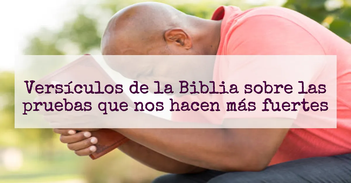 Versículos de la Biblia sobre las pruebas que nos hacen más fuertes
