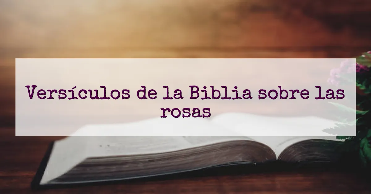 Versículos de la Biblia sobre las rosas