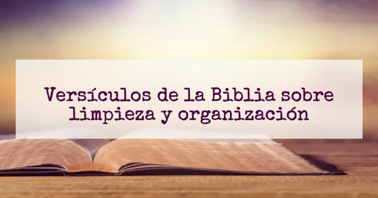 Versículos de la Biblia sobre limpieza y organización
