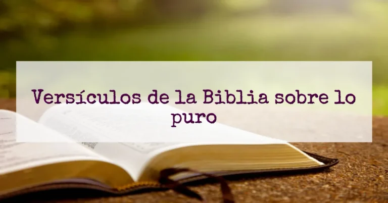 Versículos de la Biblia sobre lo puro