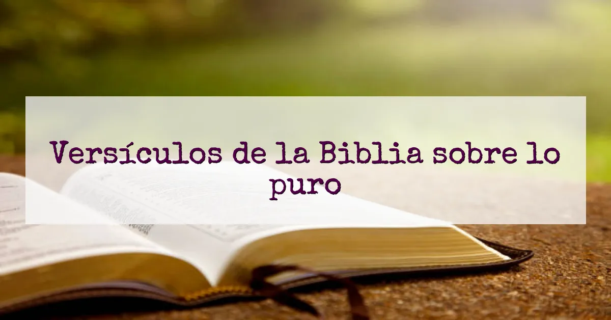 Versículos de la Biblia sobre lo puro
