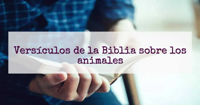 Versículos de la Biblia sobre los animales