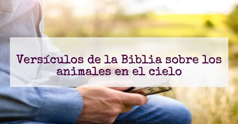 Versículos de la Biblia sobre los animales en el cielo