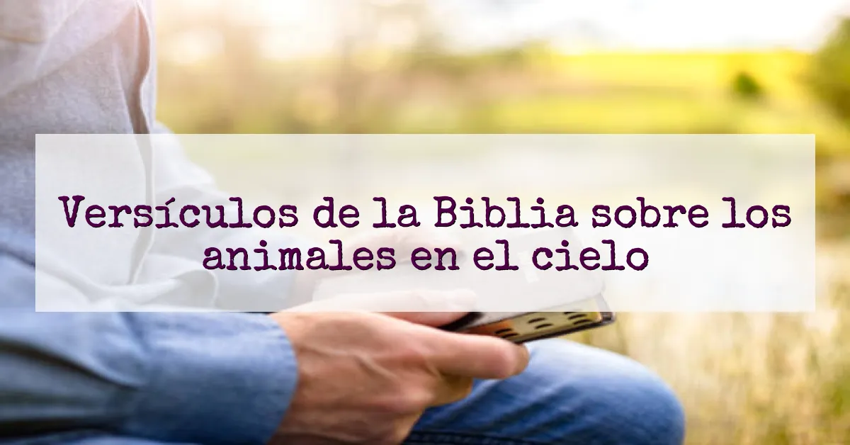 Versículos de la Biblia sobre los animales en el cielo
