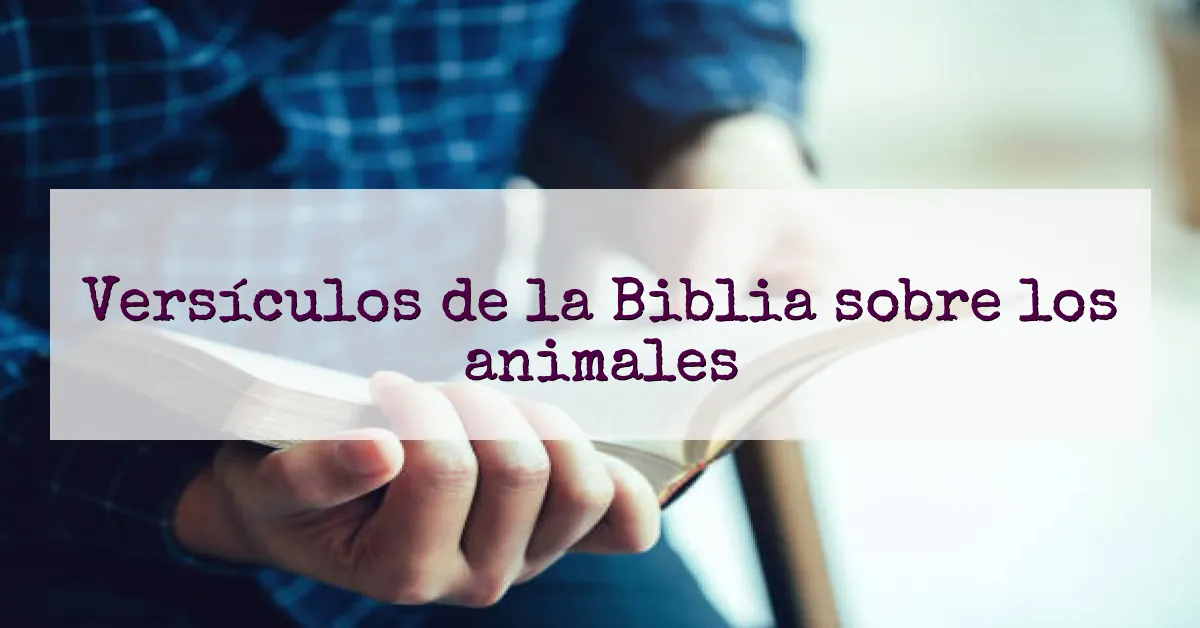 Versículos de la Biblia sobre los animales