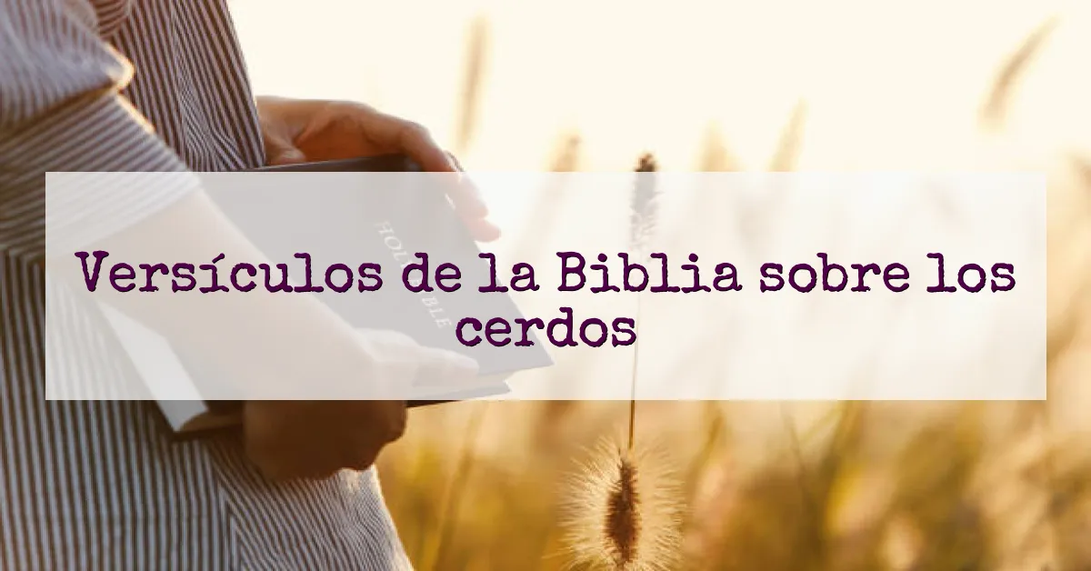 Versículos de la Biblia sobre los cerdos
