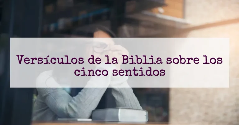 Versículos de la Biblia sobre los cinco sentidos