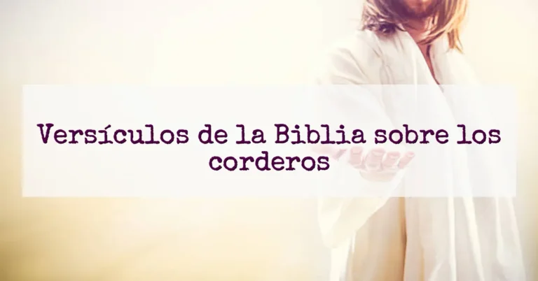 Versículos de la Biblia sobre los corderos