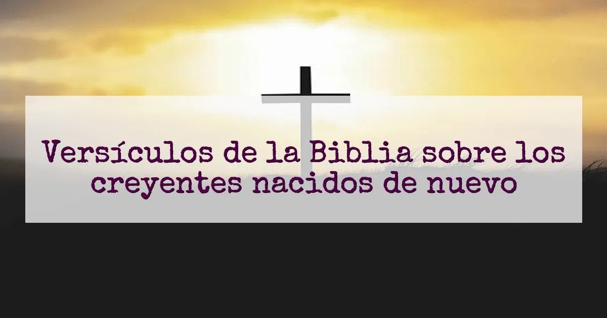 Versículos de la Biblia sobre los creyentes nacidos de nuevo