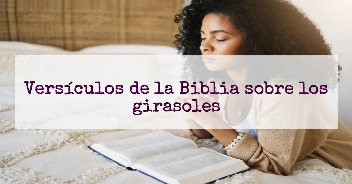 Versículos de la Biblia sobre los girasoles