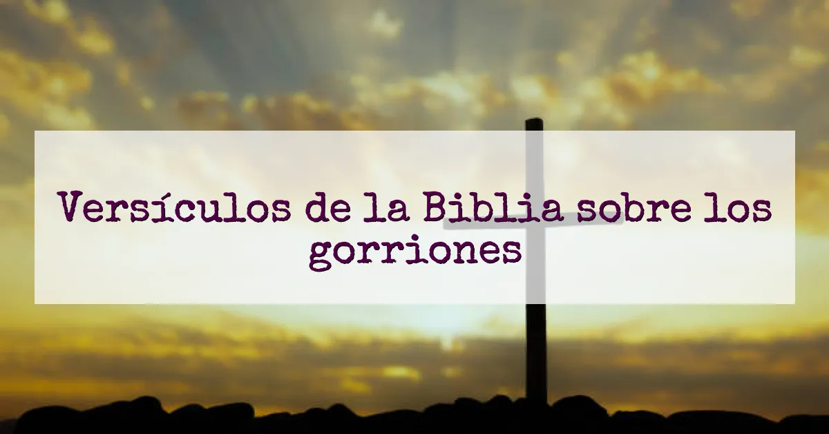 Versículos de la Biblia sobre los gorriones