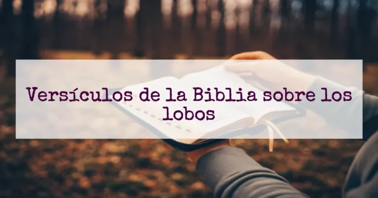 Versículos de la Biblia sobre los lobos