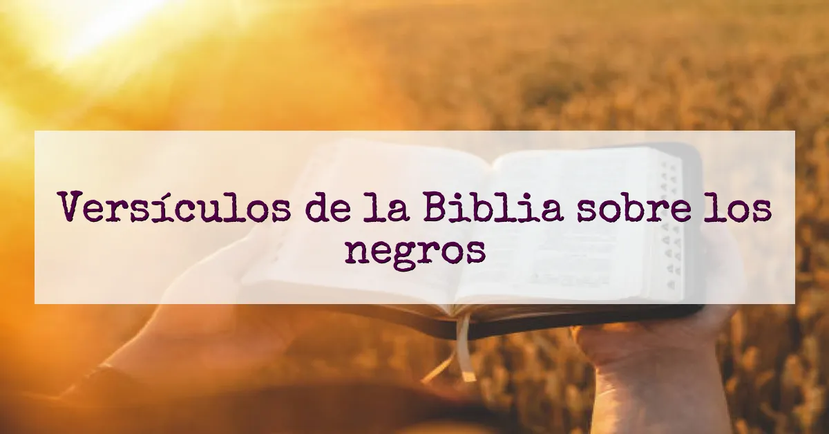 Versículos de la Biblia sobre los negros