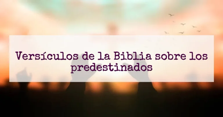 Versículos de la Biblia sobre los predestinados