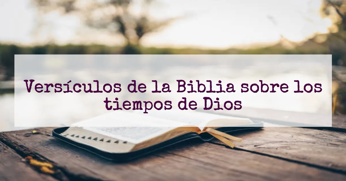 Versículos de la Biblia sobre los tiempos de Dios