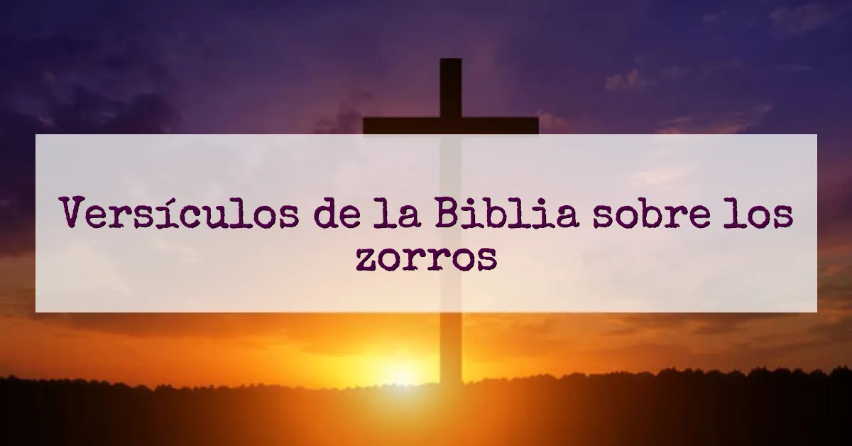 Versículos de la Biblia sobre los zorros