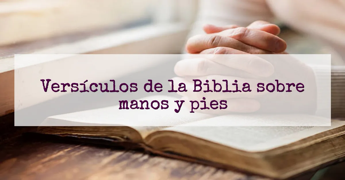 Versículos de la Biblia sobre manos y pies
