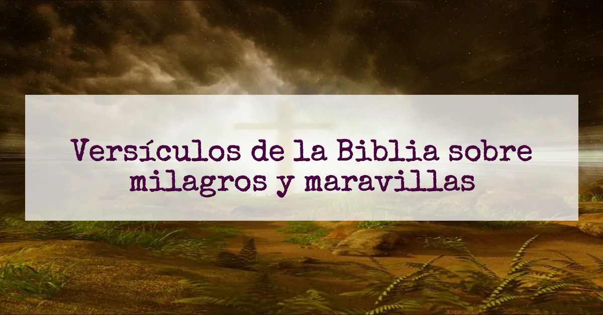Versículos de la Biblia sobre milagros y maravillas