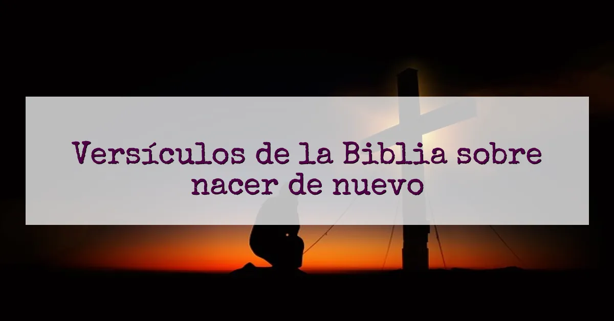 Versículos de la Biblia sobre nacer de nuevo