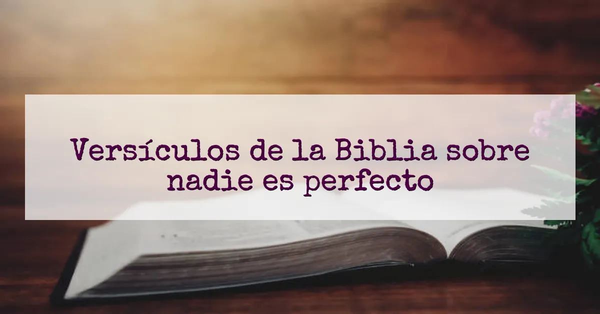 Versículos de la Biblia sobre nadie es perfecto