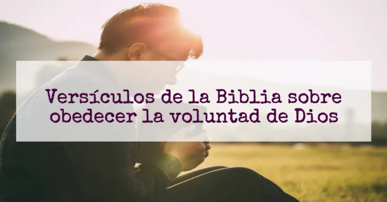Versículos de la Biblia sobre obedecer la voluntad de Dios