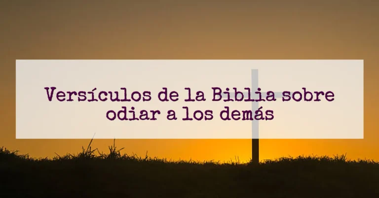 Versículos de la Biblia sobre odiar a los demás