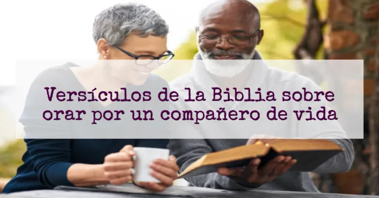 Versículos de la Biblia sobre orar por un compañero de vida