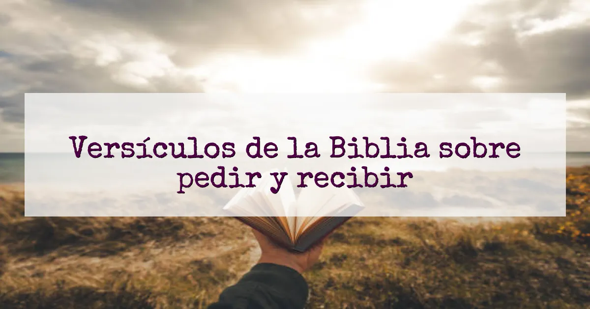 Versículos de la Biblia sobre pedir y recibir