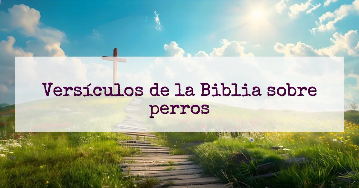Versículos de la Biblia sobre perros