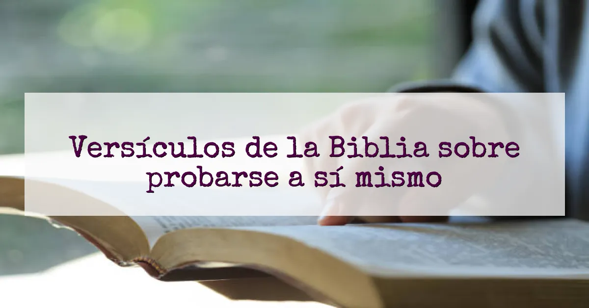Versículos de la Biblia sobre probarse a sí mismo