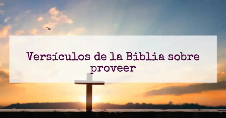 Versículos de la Biblia sobre proveer