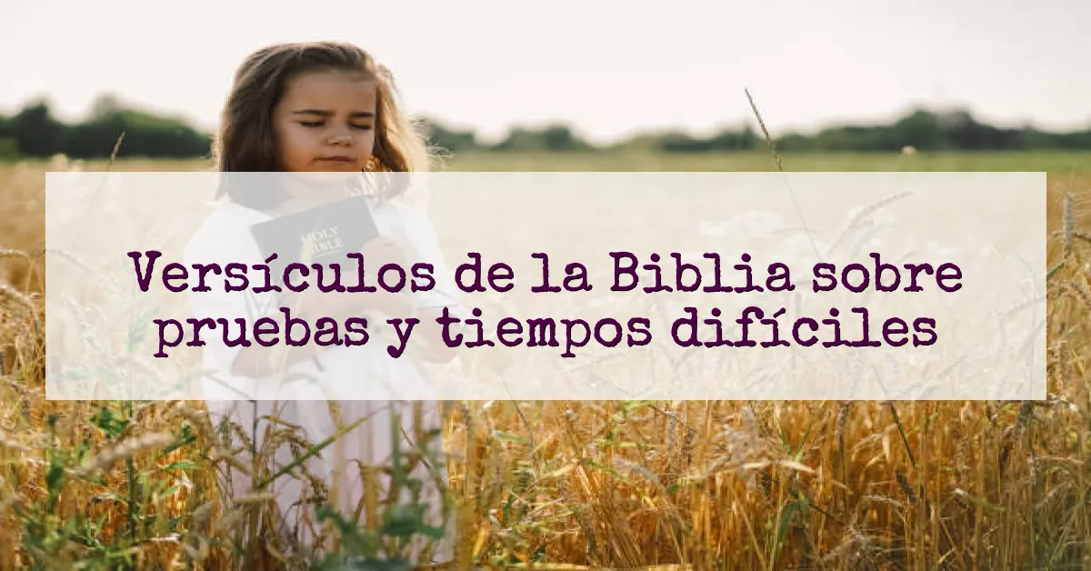 Versículos de la Biblia sobre pruebas y tiempos difíciles