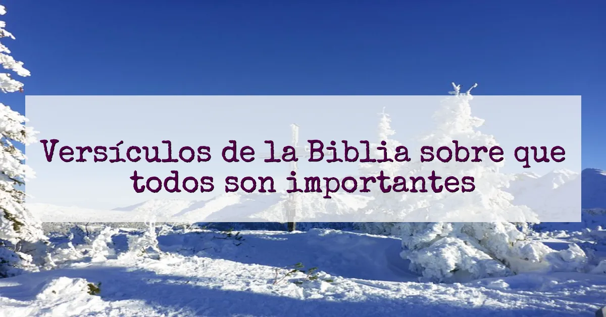 Versículos de la Biblia sobre que todos son importantes