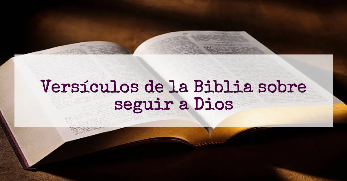 Versículos de la Biblia sobre seguir a Dios
