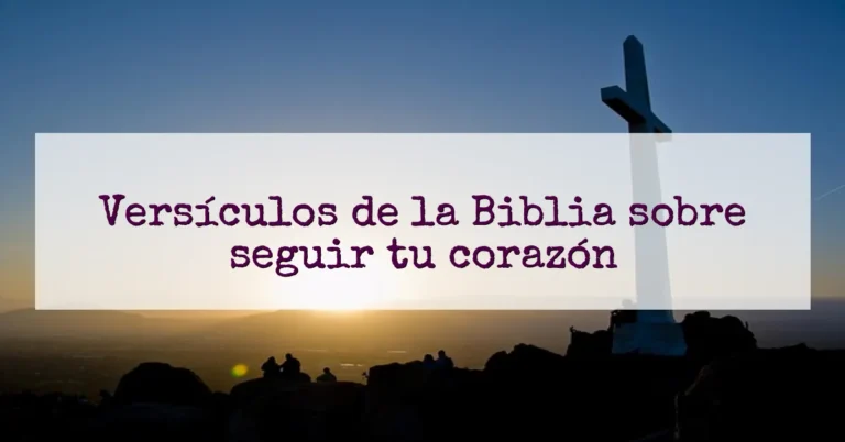 Versículos de la Biblia sobre seguir tu corazón