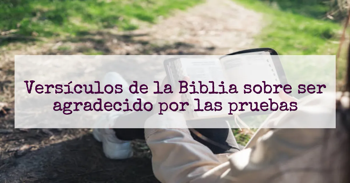 Versículos de la Biblia sobre ser agradecido por las pruebas