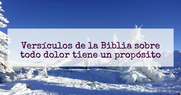 Versículos de la Biblia sobre todo dolor tiene un propósito