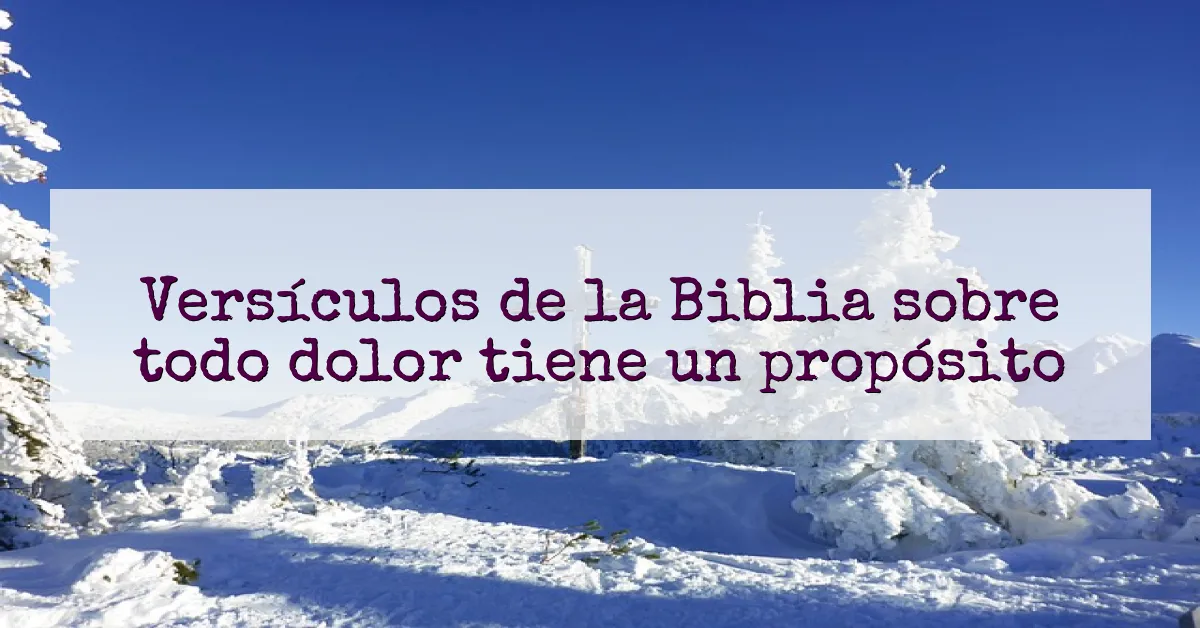 Versículos de la Biblia sobre todo dolor tiene un propósito