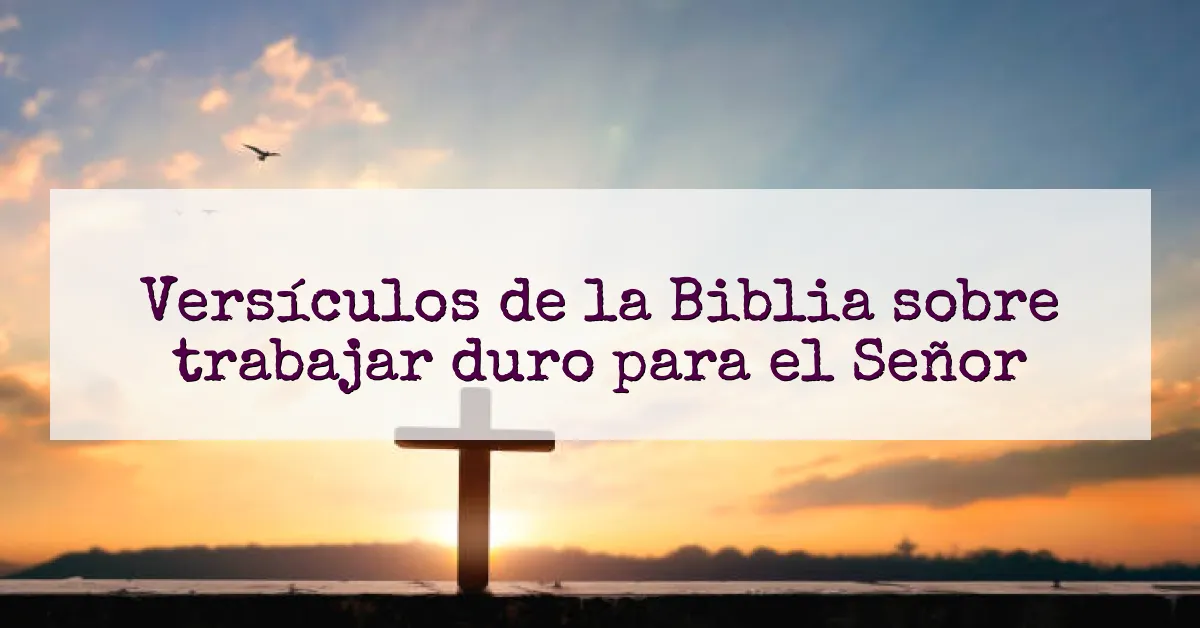Versículos de la Biblia sobre trabajar duro para el Señor