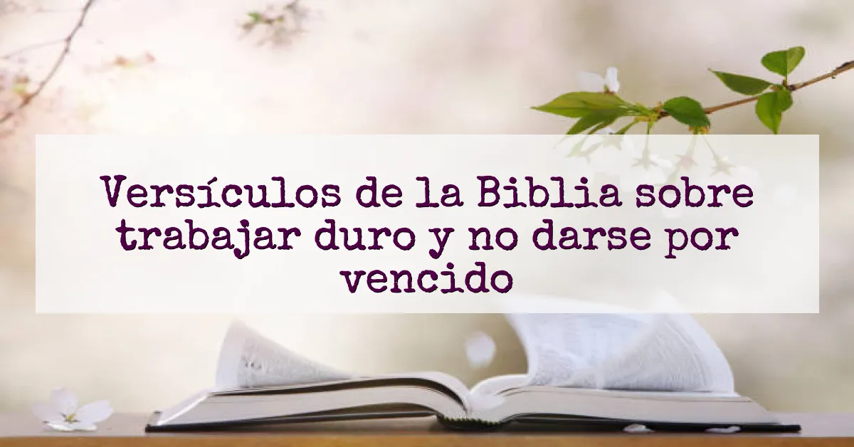 Versículos de la Biblia sobre trabajar duro y no darse por vencido