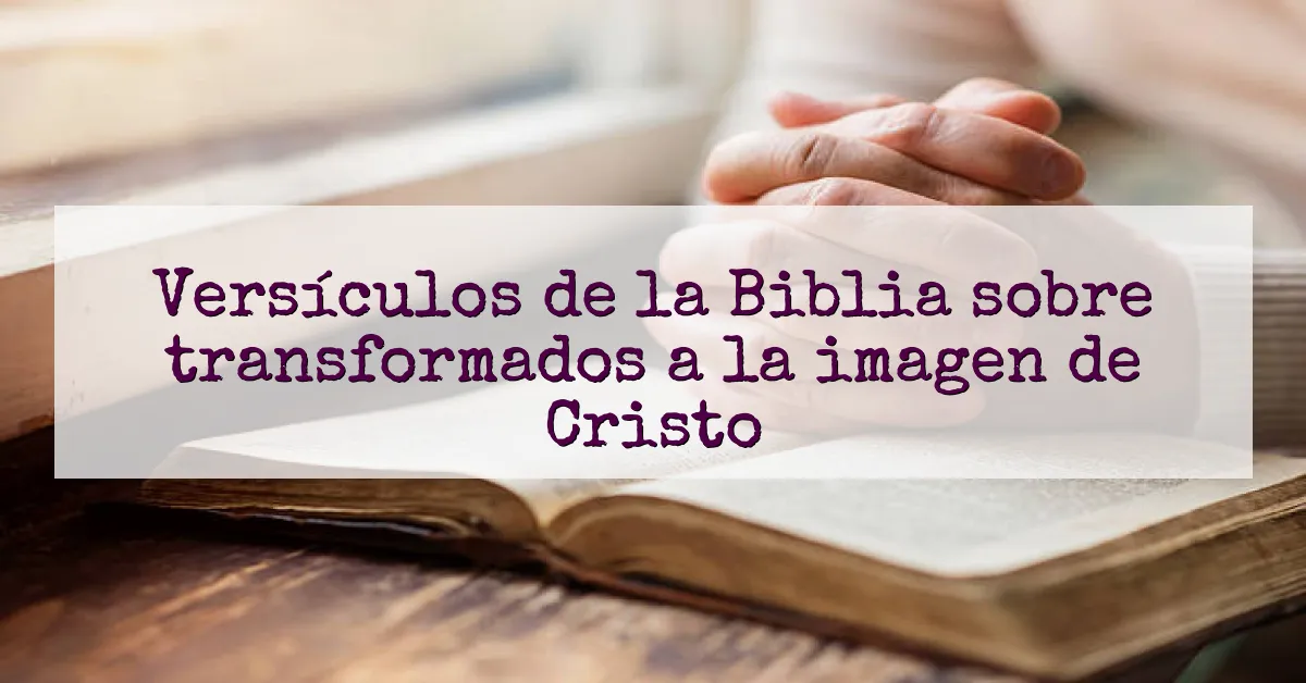 Versículos de la Biblia sobre transformados a la imagen de Cristo