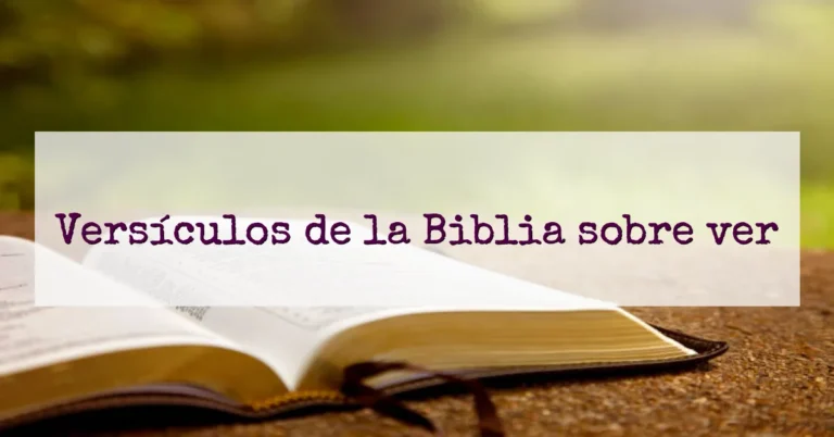 Versículos de la Biblia sobre ver